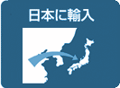 日本に輸入